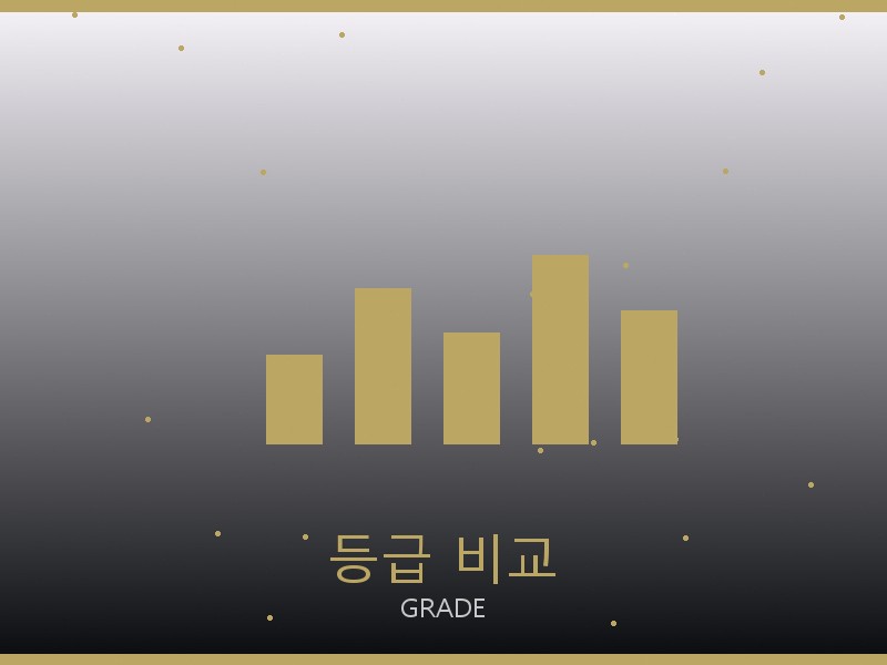 프라다 디저니 백 S급 등급 기준 비교