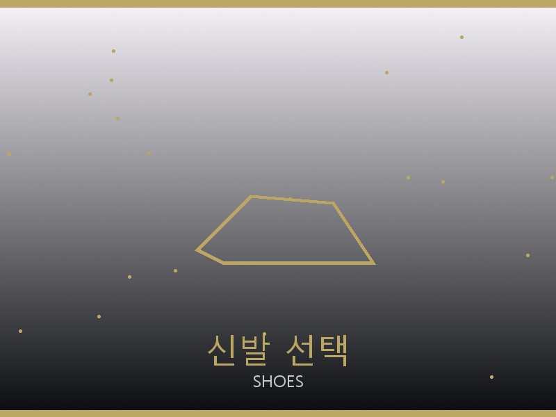 프라다 디저니 백 S급 신발 선택 가이드